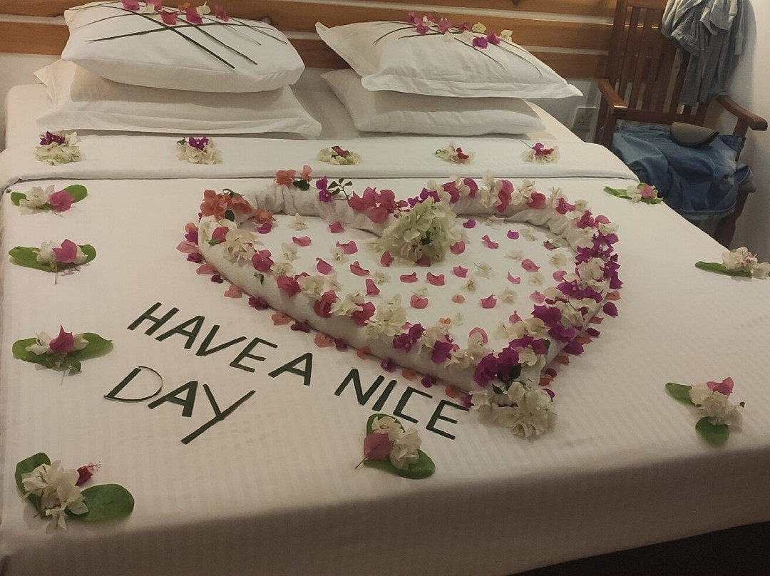 Oceano Beach Vashafaru主图