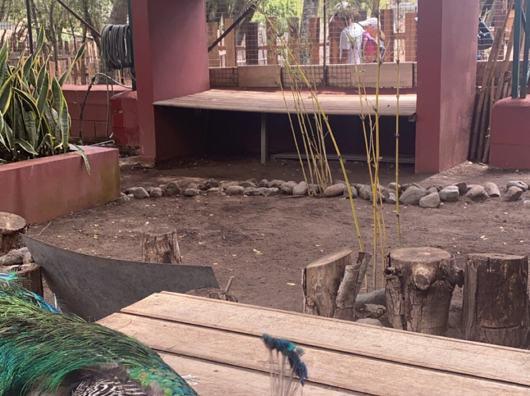 Croc Parc景点图片