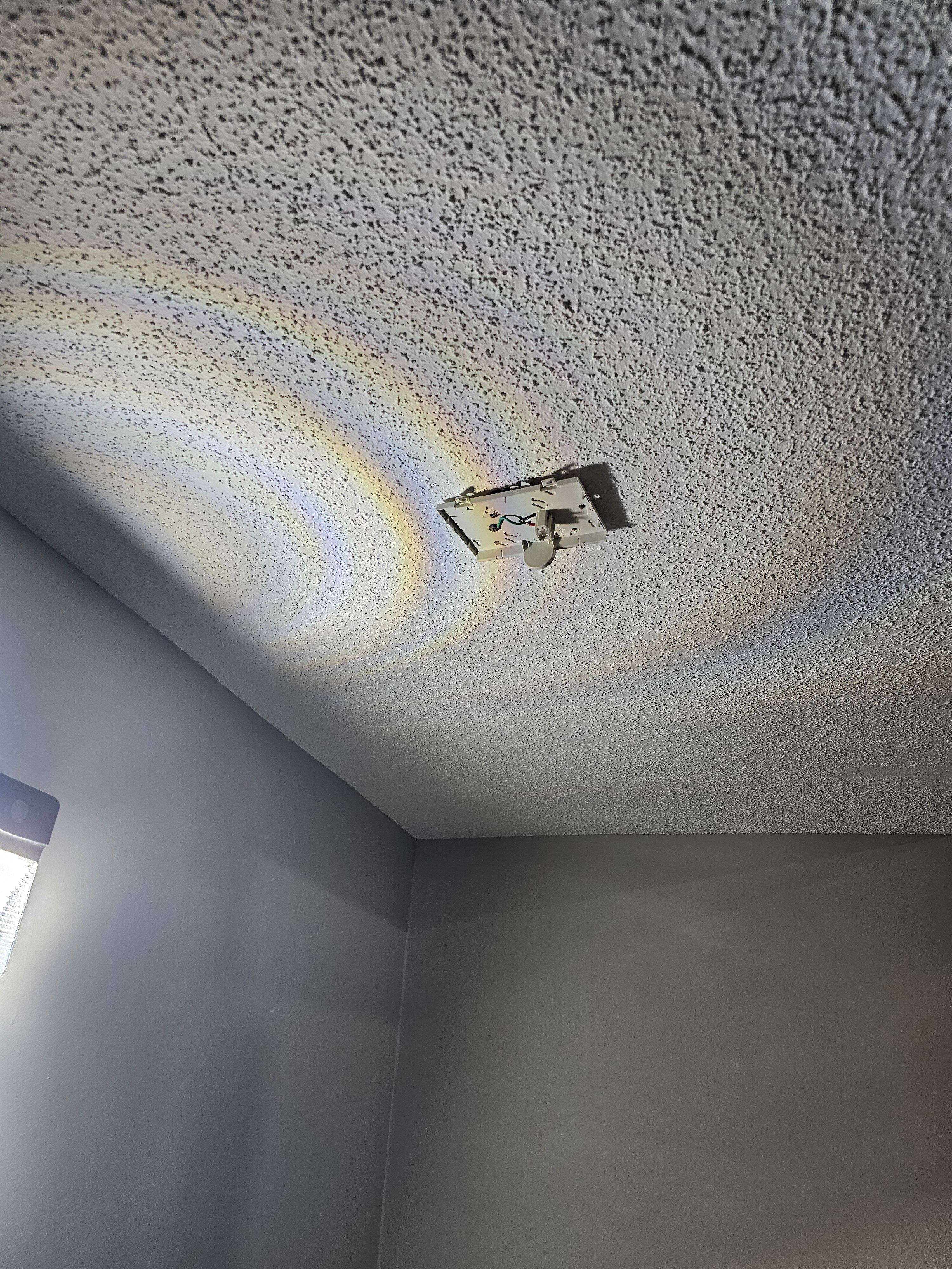 La Quinta Inn & Suites by Wyndham-Albany GA-客卧