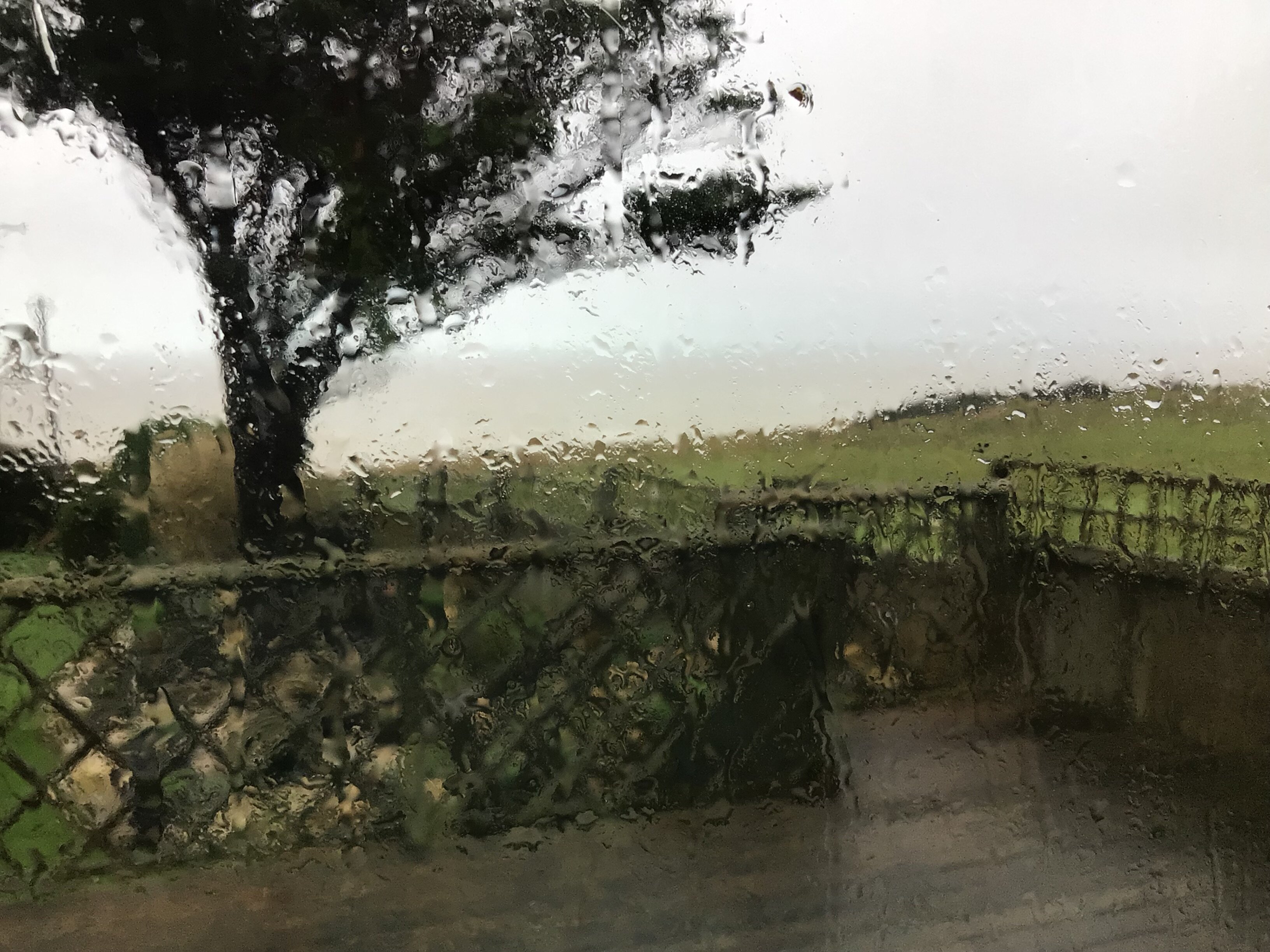 Chesil Beach Lodge-酒店景观