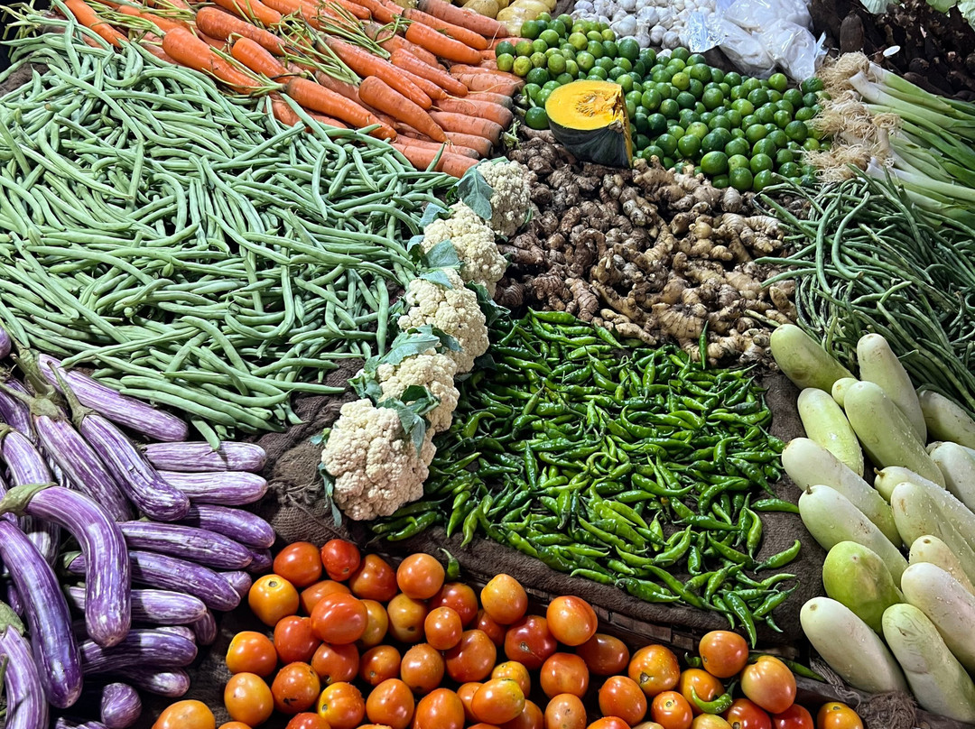 马度欢乐之旅-加勒必去景点