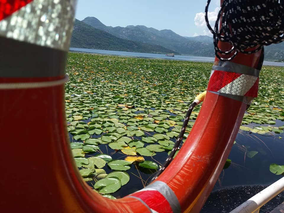 Balkanica Travel景点图片
