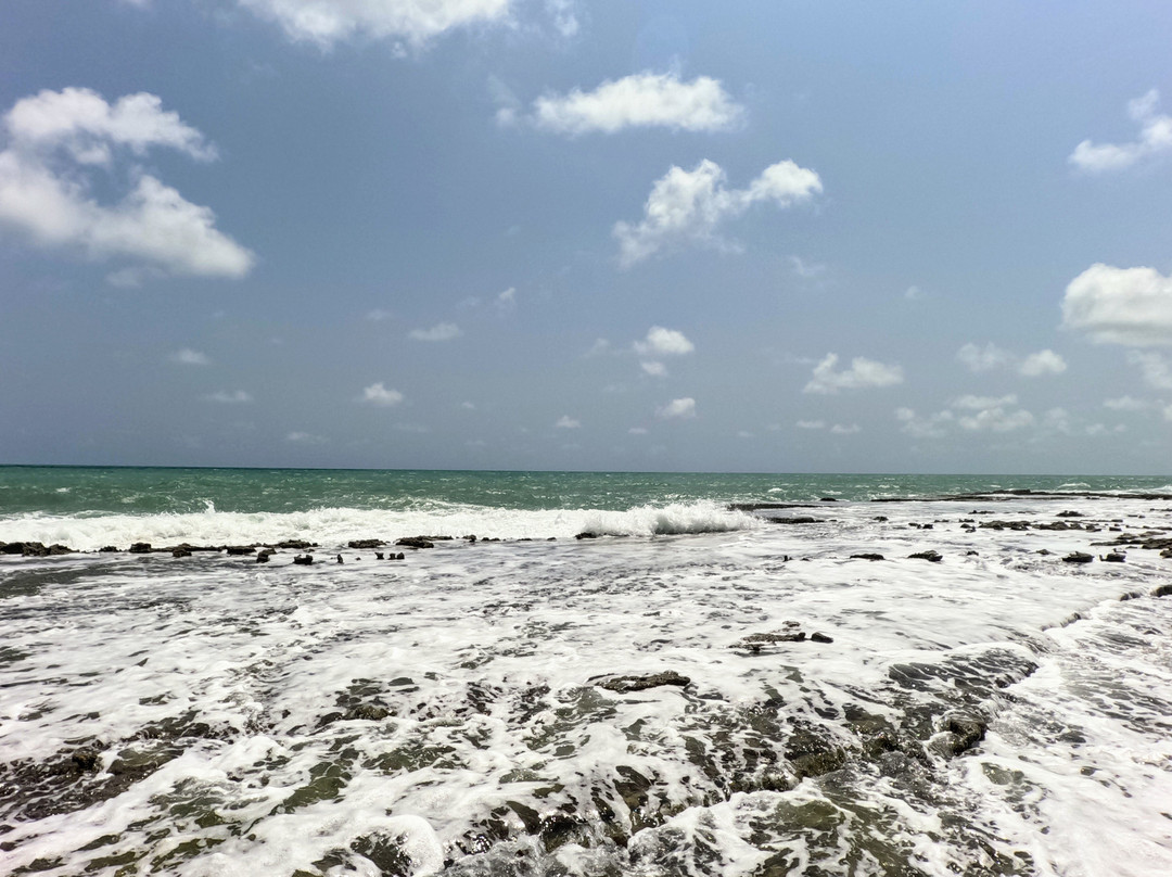 Praia Camurupim景点图片