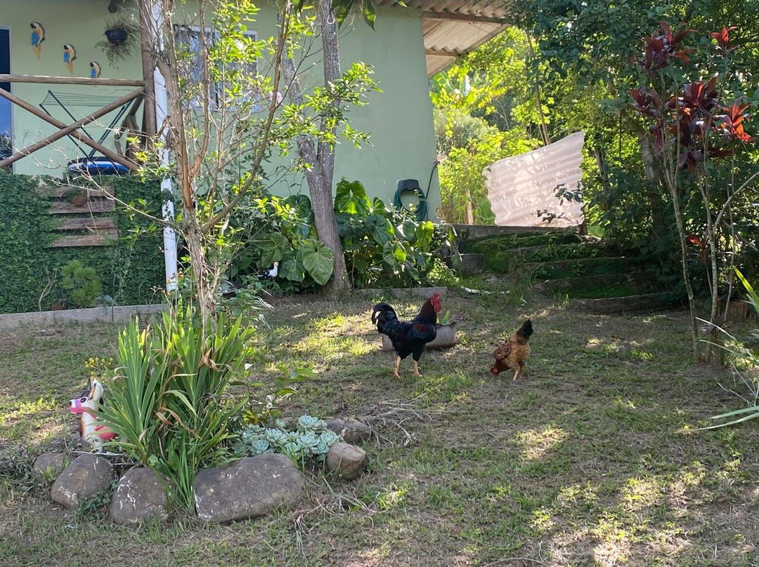 Pousada & Camping Recanto Dos Anjos Azuis主图