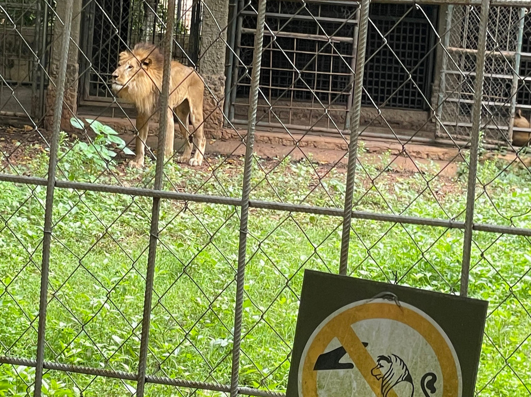 绿色遗产度假村主图