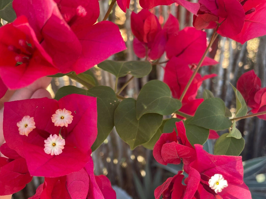 Kudehya Guesthouse主图