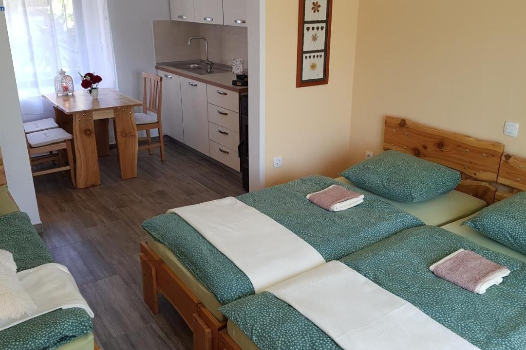 Seventh House, Prenocisce Pod Snezniskim Hribovjem