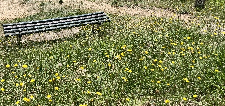 Gorge Road Circuit-比奇沃思必去景点