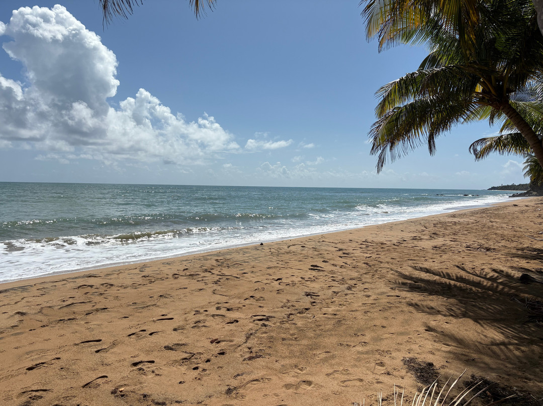 Playa Mario景点图片