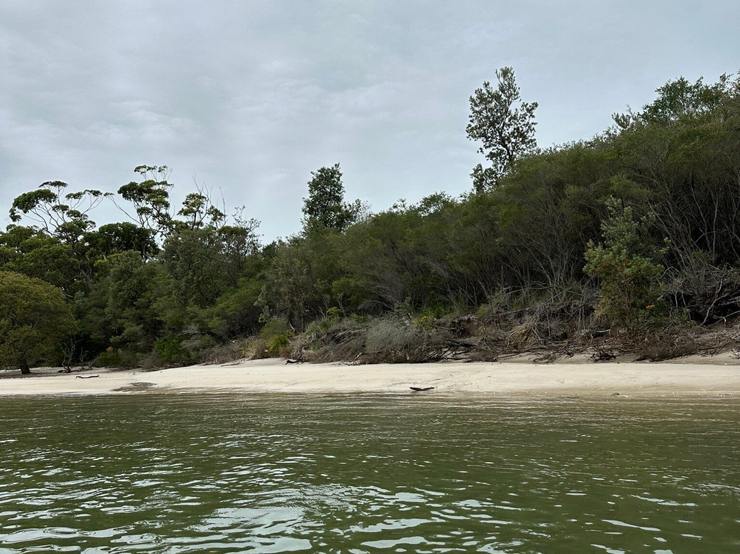 Sea Kayak Jervis Bay景点图片