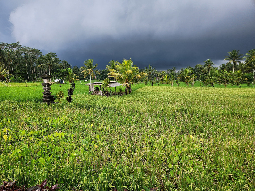 Awesome Bali Cycling-金塔马尼必去景点