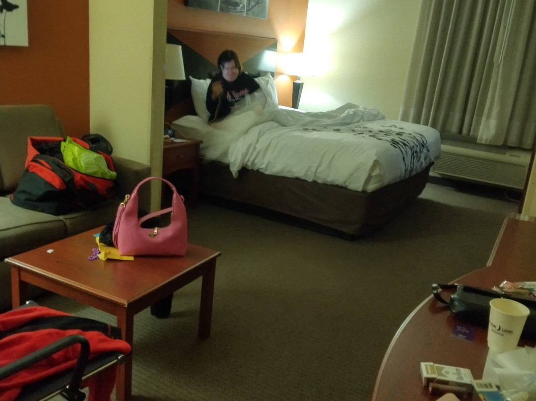 Sleep Inn & Suites Madison - Monona主图