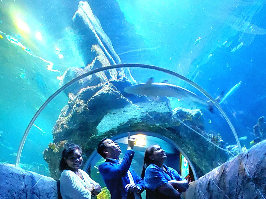 SEA LIFE Oberhausen景点图片