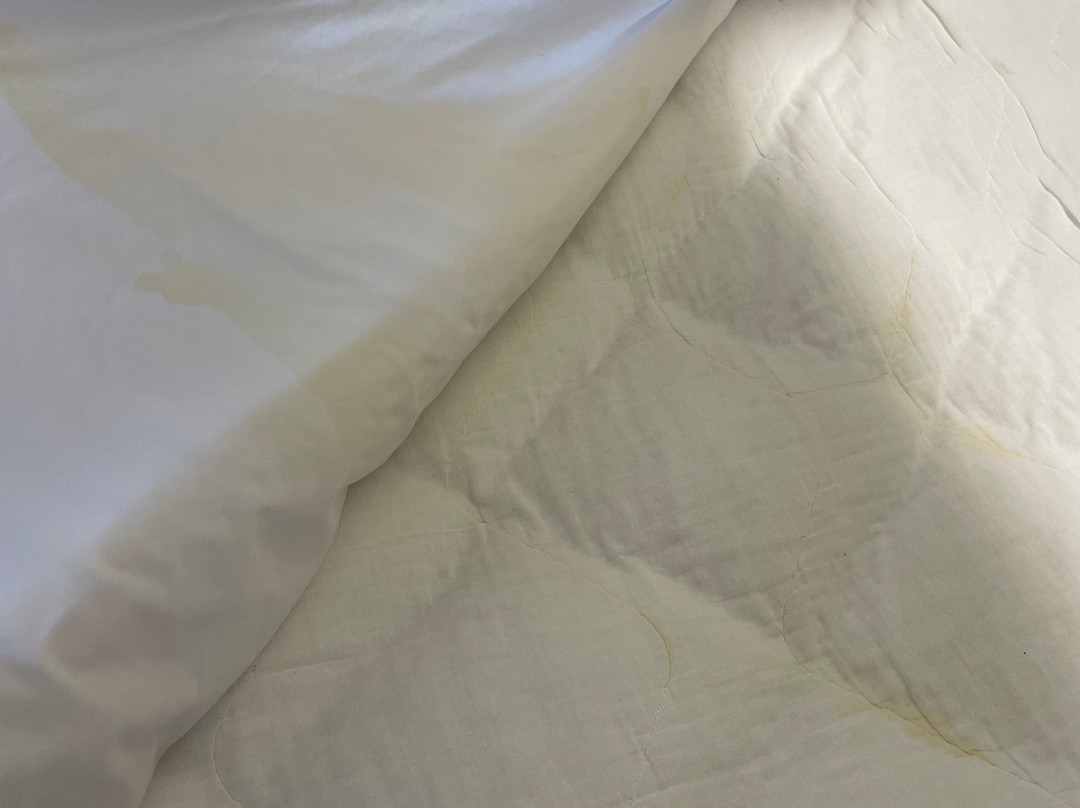 Microtel Inns & Suites by Wyndham Southern Pines / Pinehurst主图