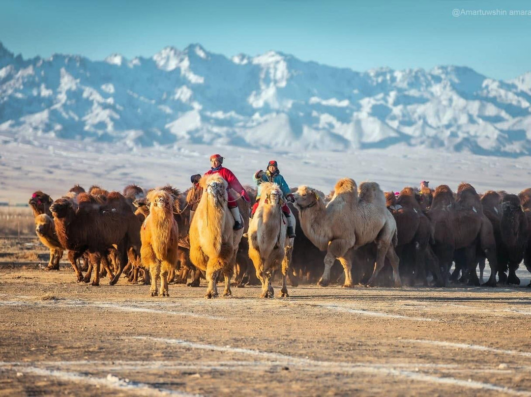 The Gobi Desert Thousand Camel Festival-Dalanzadgad必去景点