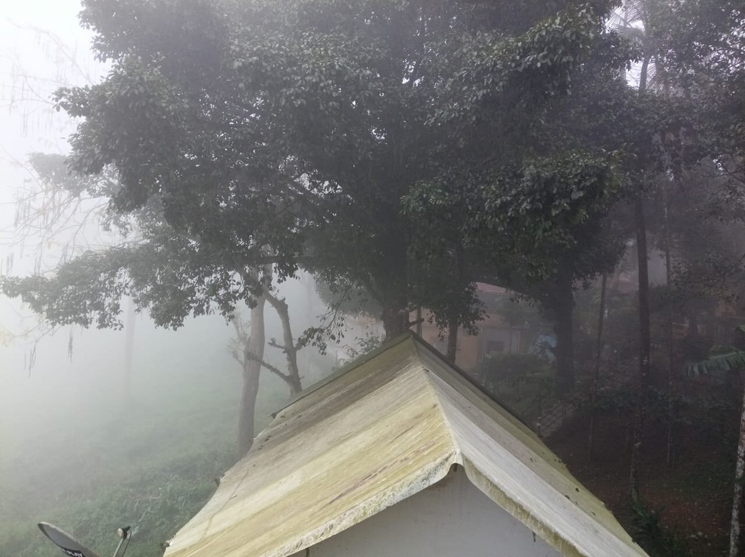 Karapuzha Village Resort主图