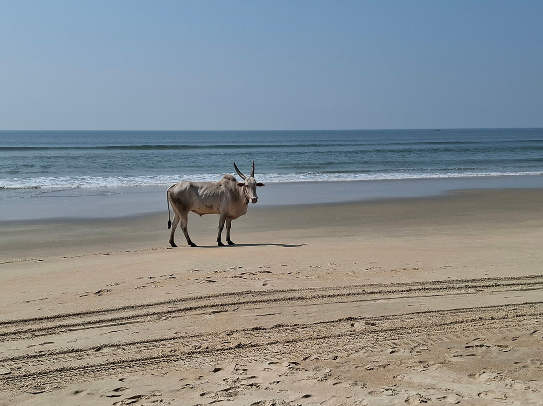Gonsua Beach-马久达必去景点