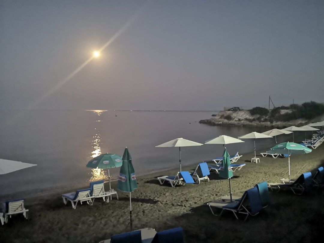 Art By Praxis Apartments主图