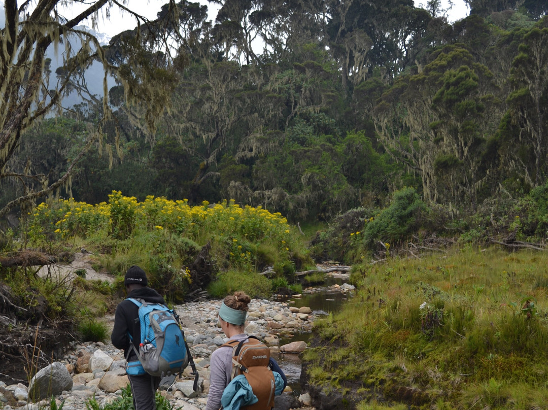 Rwenzori Trekking Services-Kasese必去景点