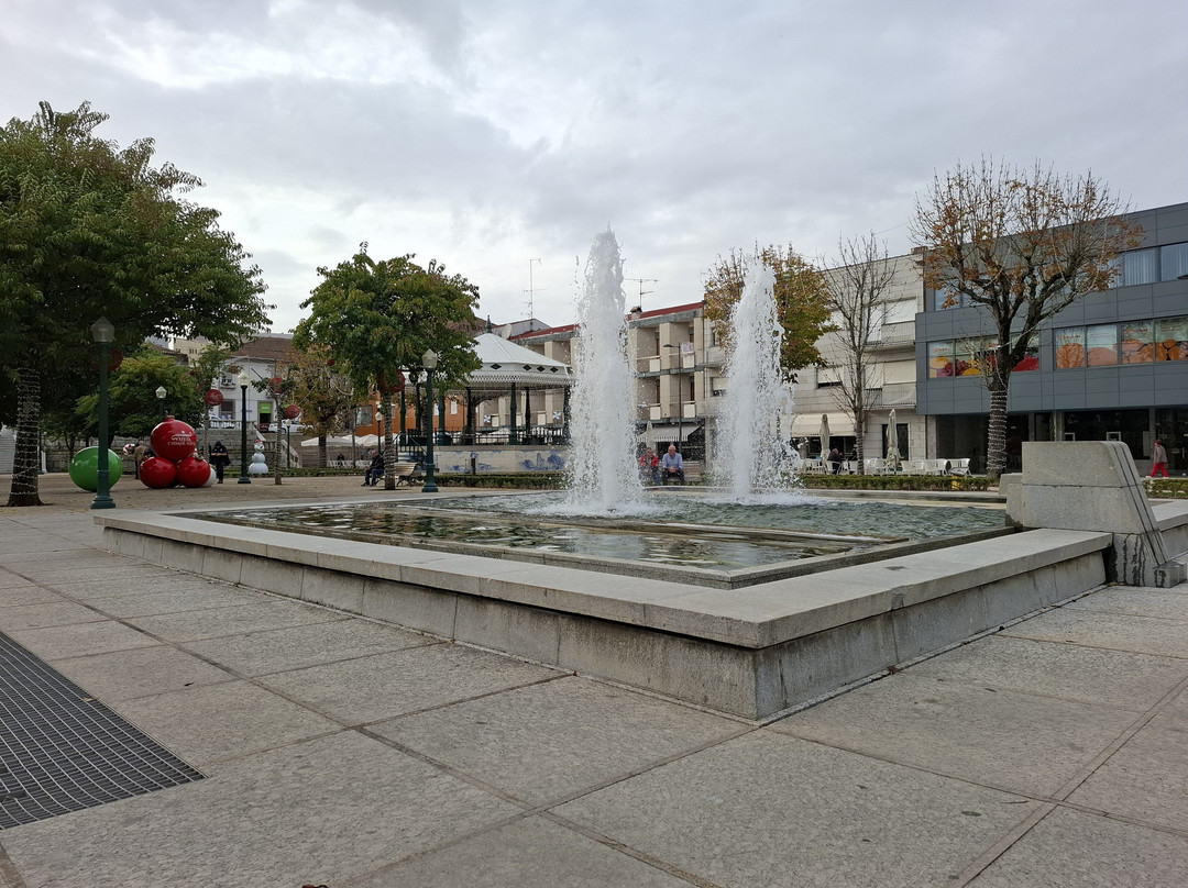 Jardim Público Manuel Faria景点图片