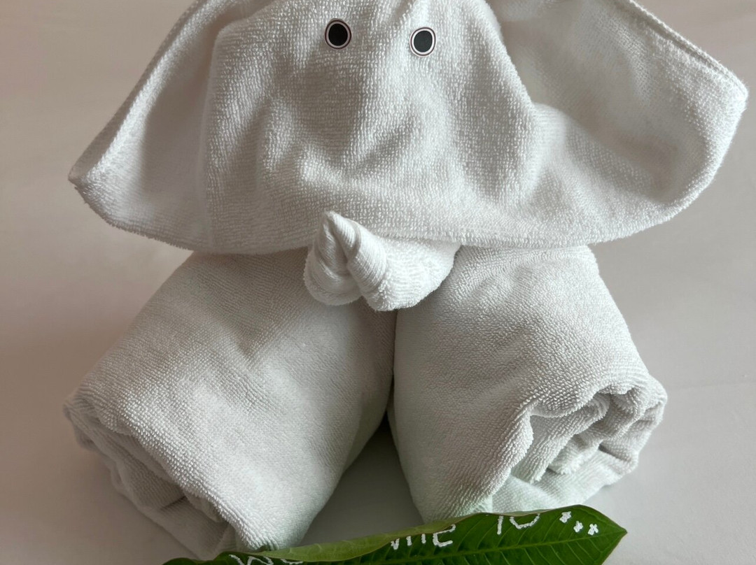 查纳莱山边度假酒店主图