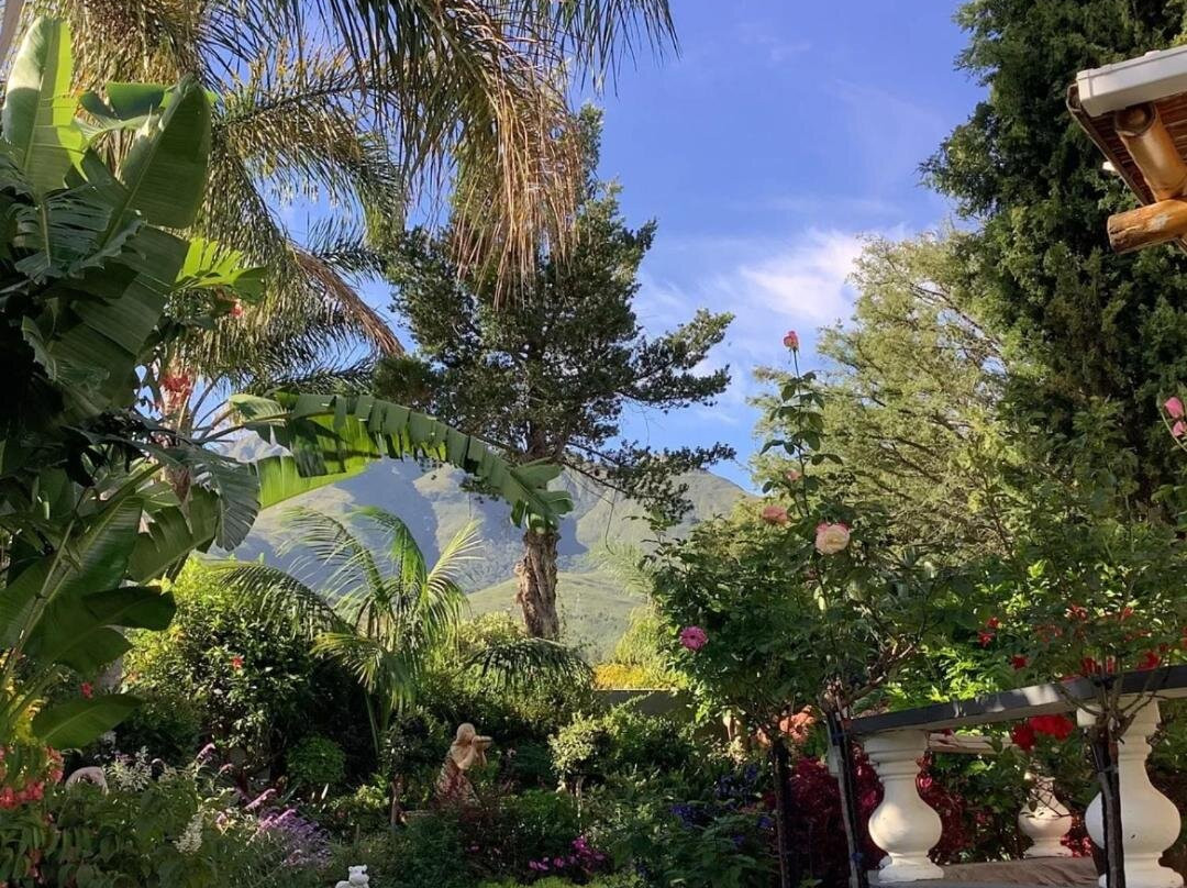 Herold酒店住宿-Bollinger Guest House