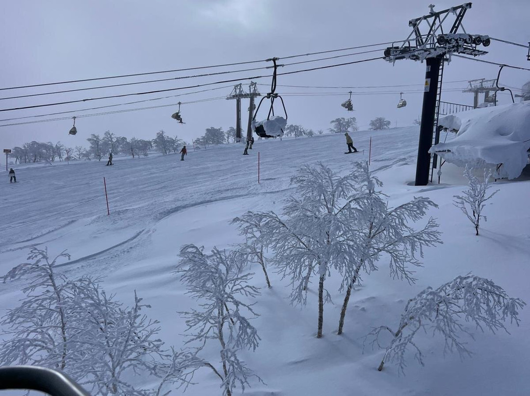 新雪谷村滑雪胜地景点图片