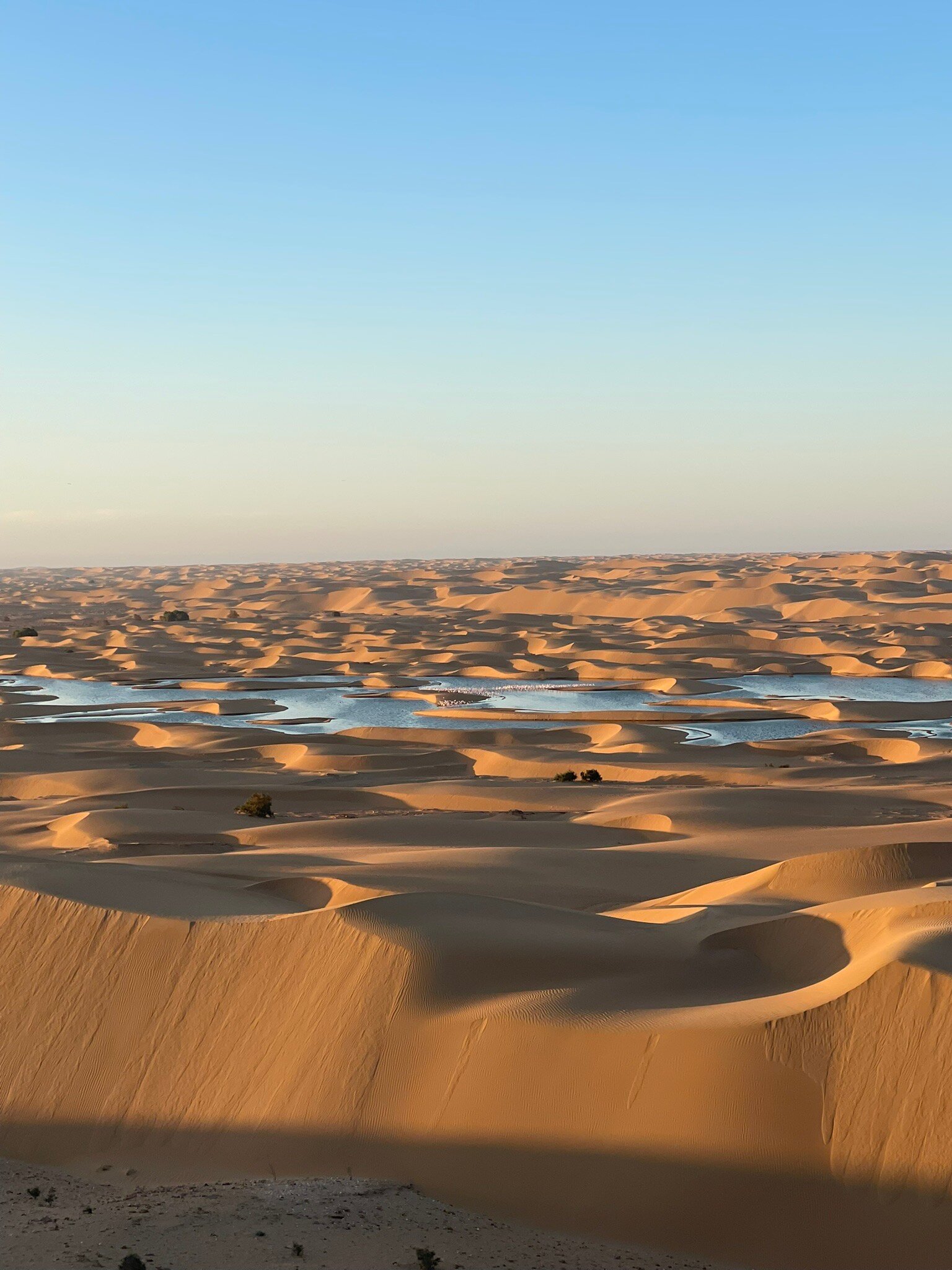 Hotel Al Massira-官方