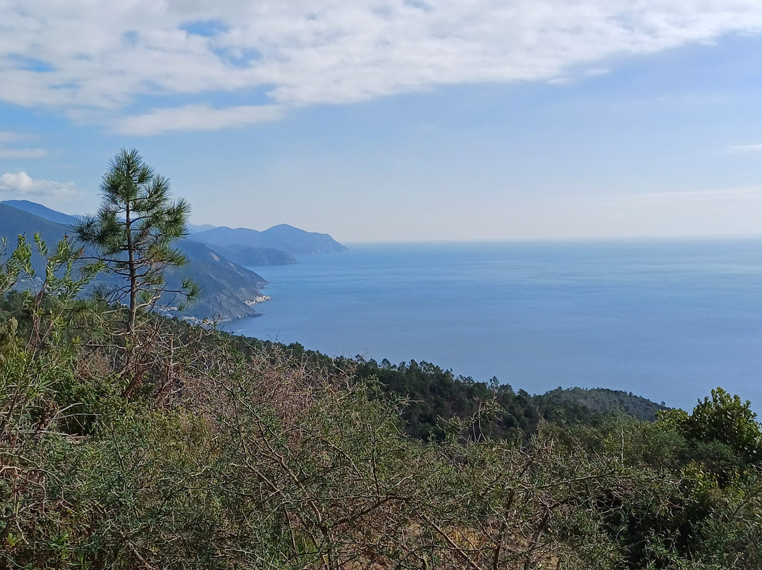 Il sentiero da Riva Trigoso a Moneglia景点图片