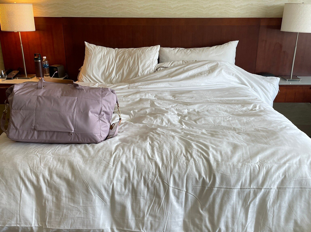 芝加哥诺斯什而威斯丁酒店主图