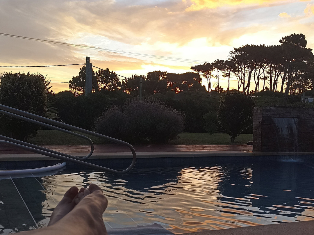 Highland Chiuahua Hotel主图