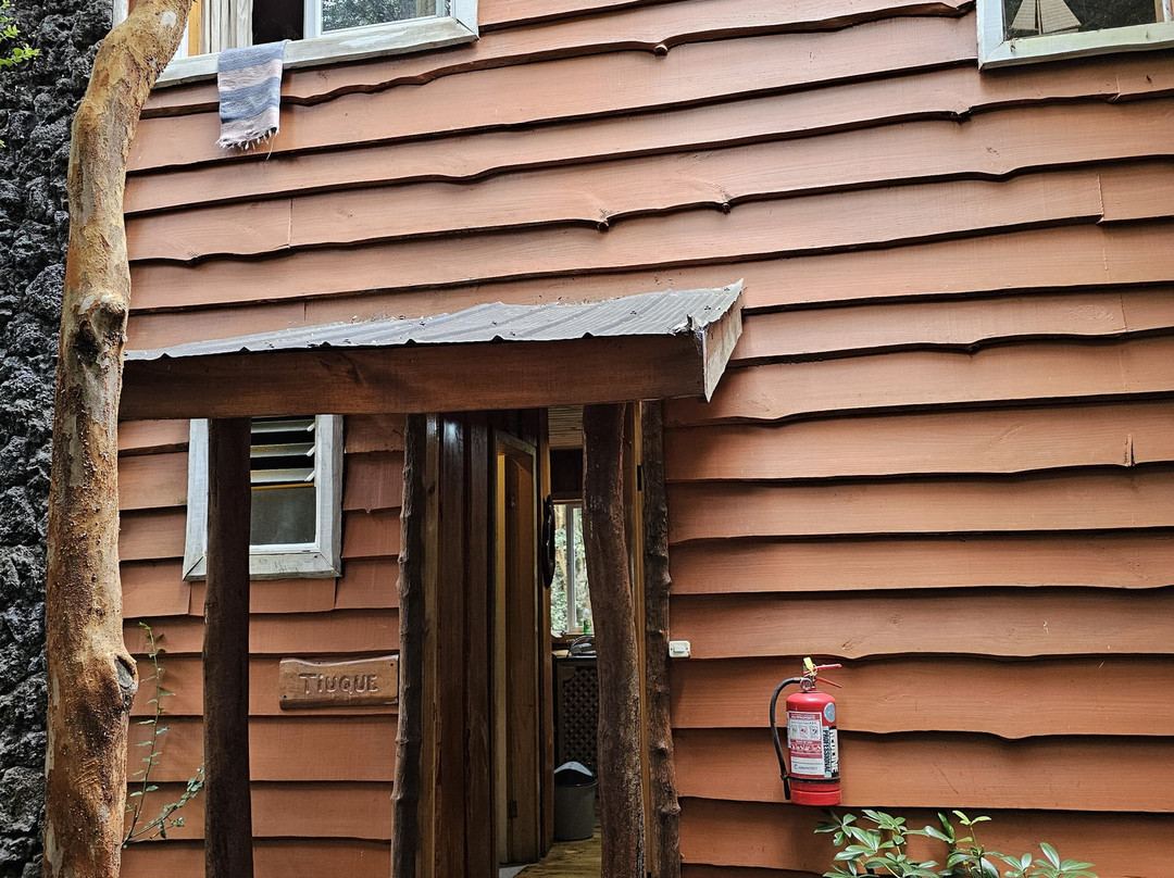 Cabanas Ensenada Bosque Nativo主图