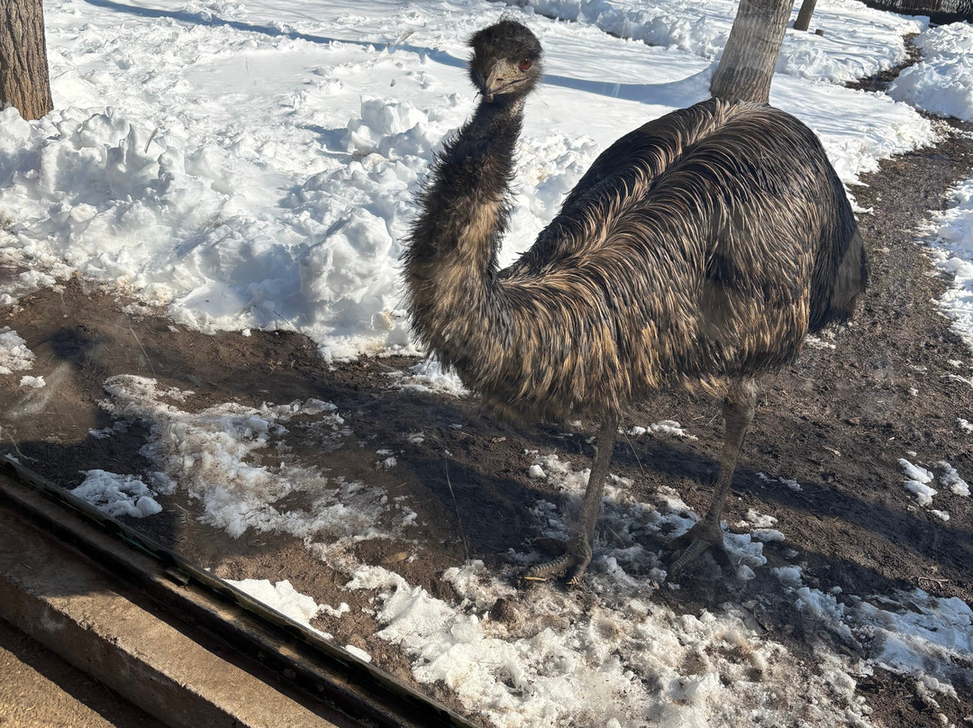 Bucharest Zoo景点图片