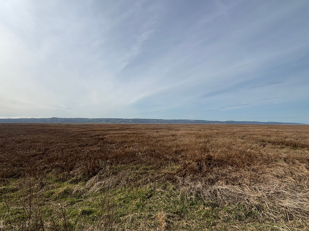 Parkgate Seafront景点图片