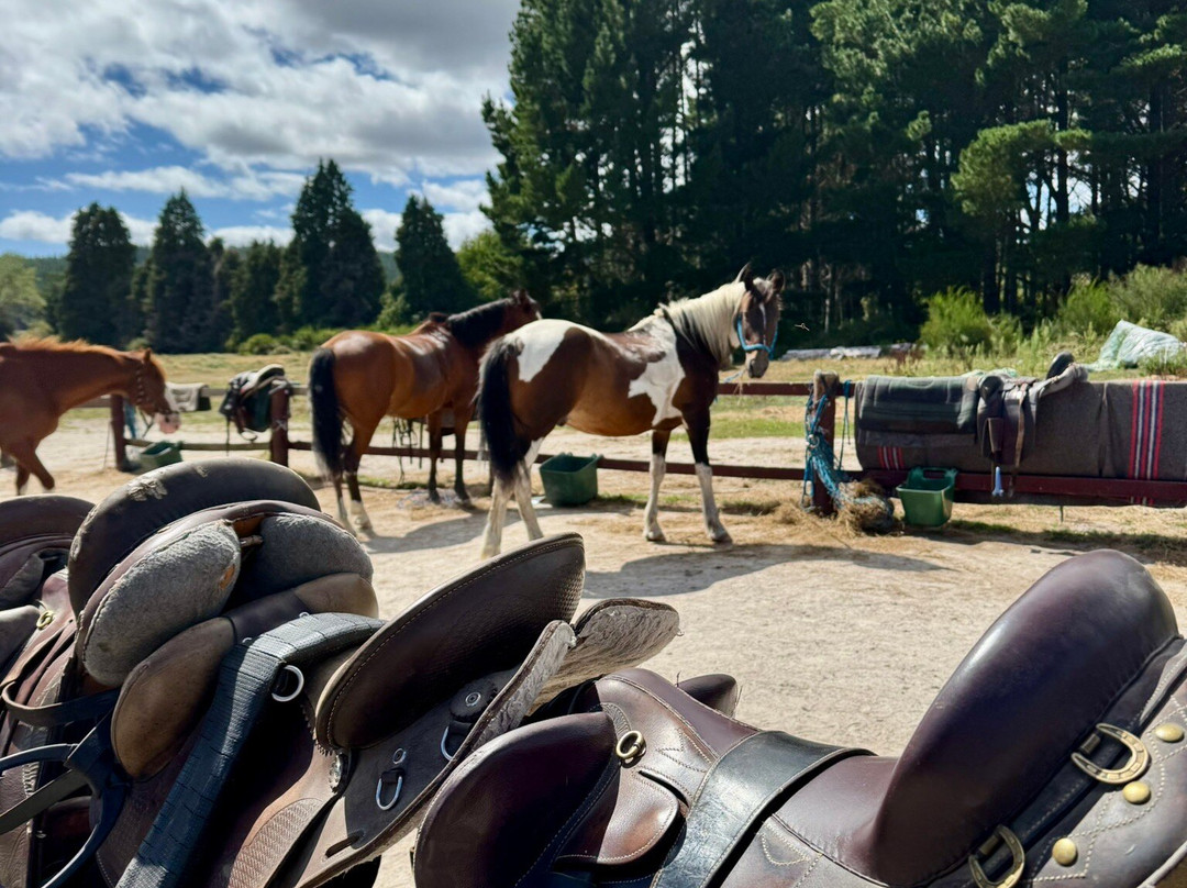 Korohe Horse Treks景点图片