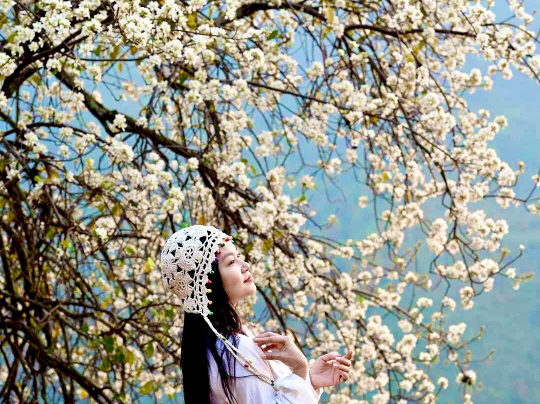 Bản Nậm Nghiệp景点图片