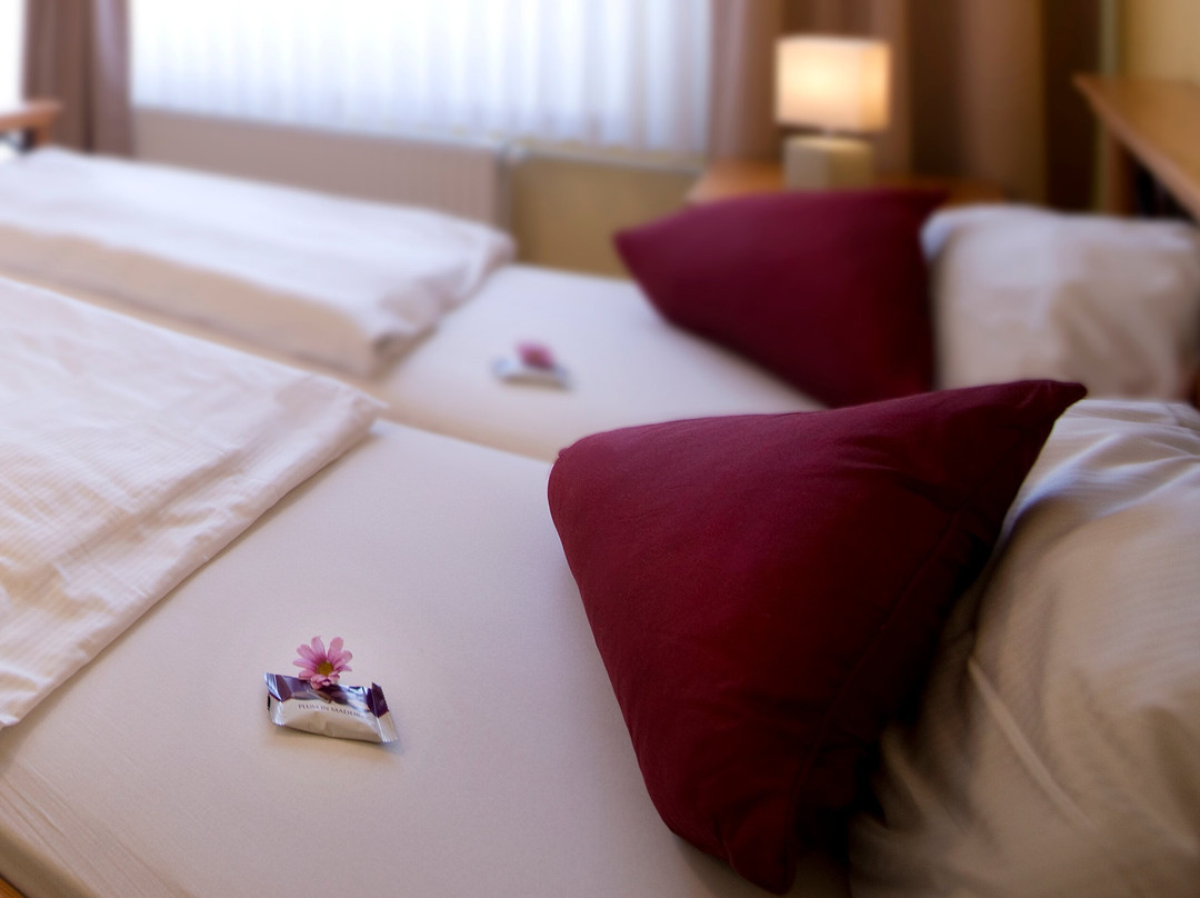 Hotel-heikenberg主图