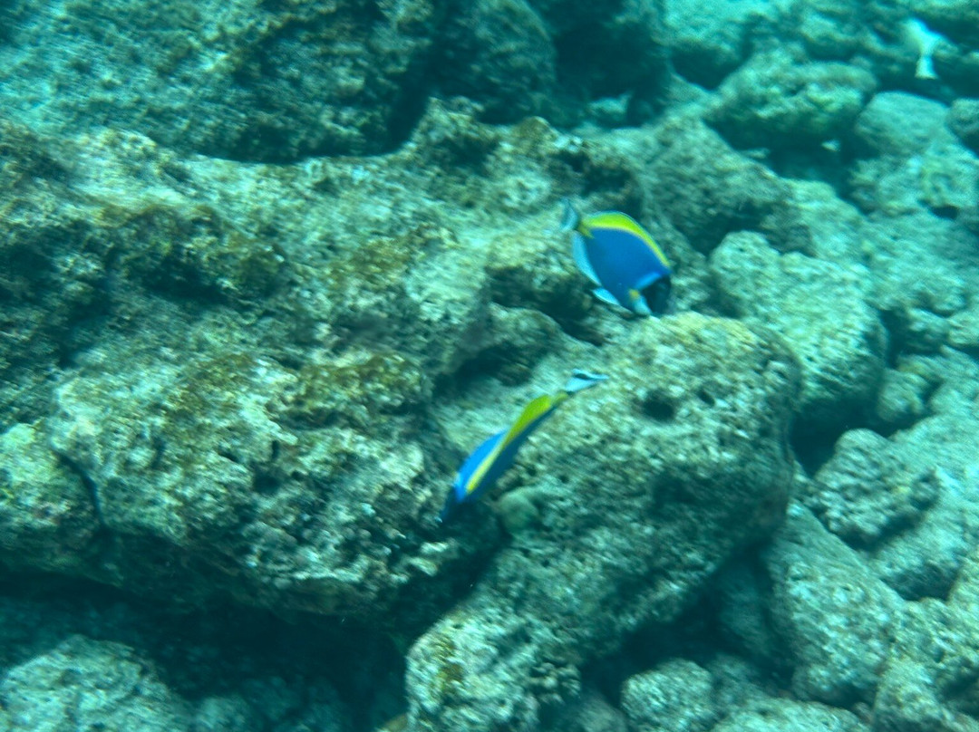 Hulhumale Water Sports Club & Excursions-胡鲁马累必去景点