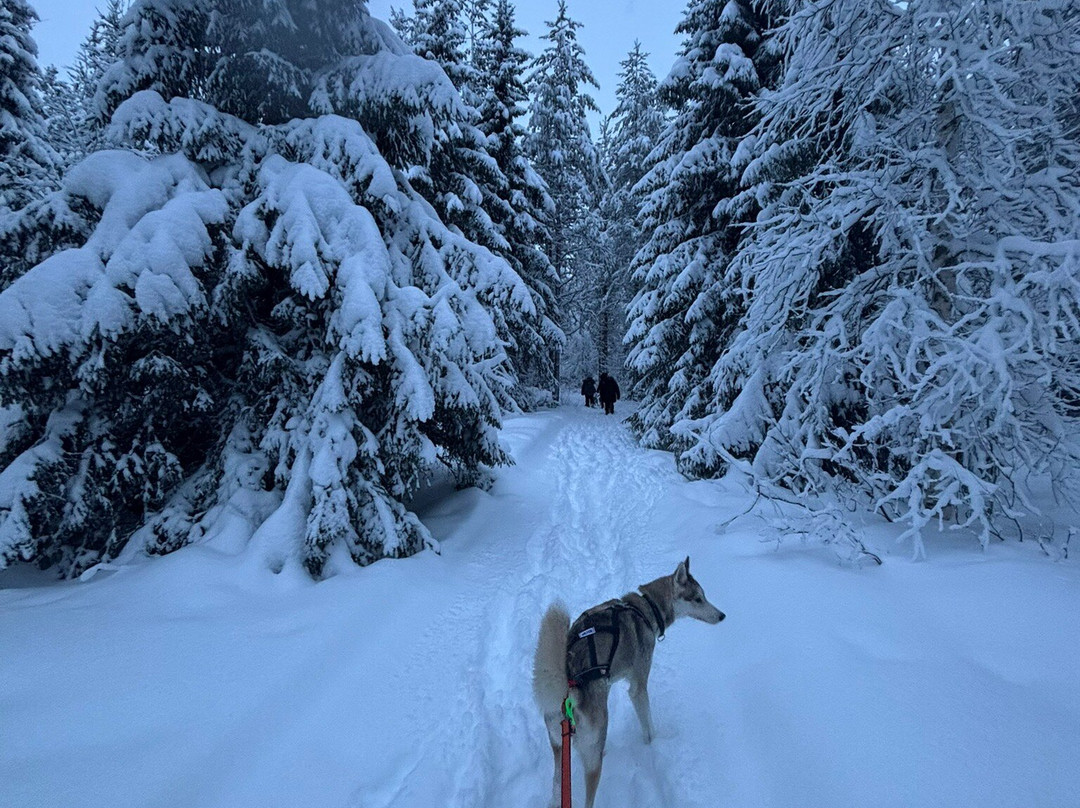 Boreal Pack Adventure-Overkalix必去景点