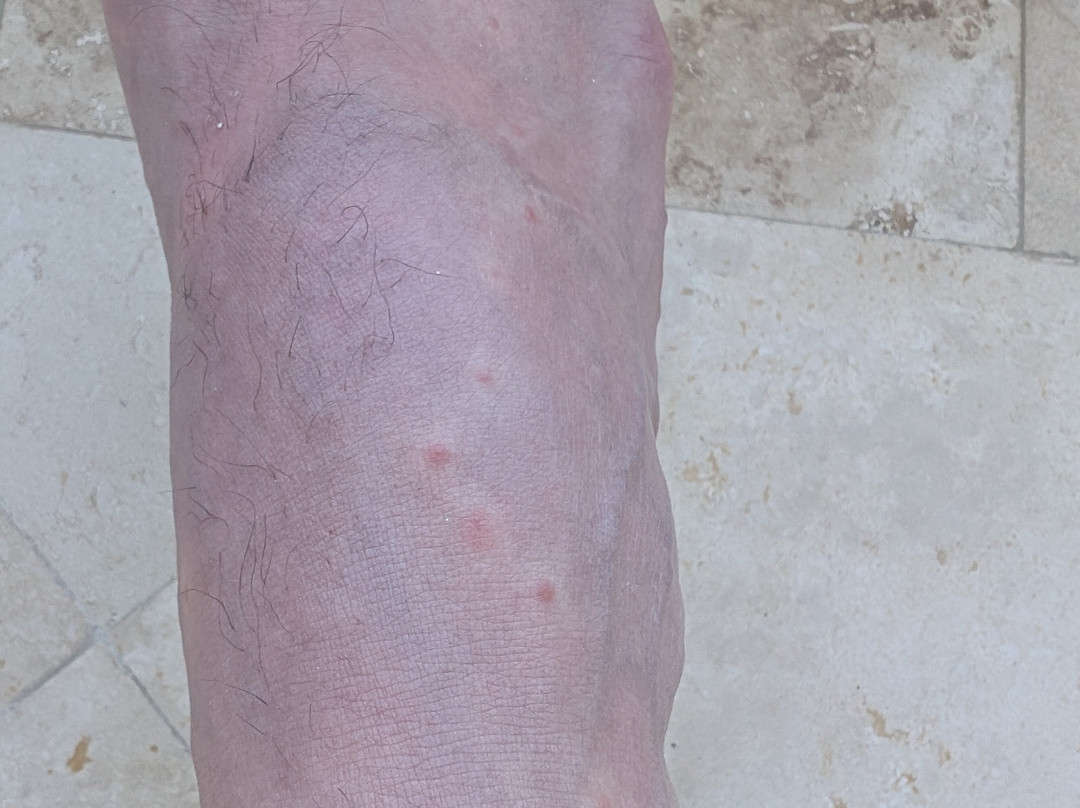 The Shore Club Turks & Caicos主图