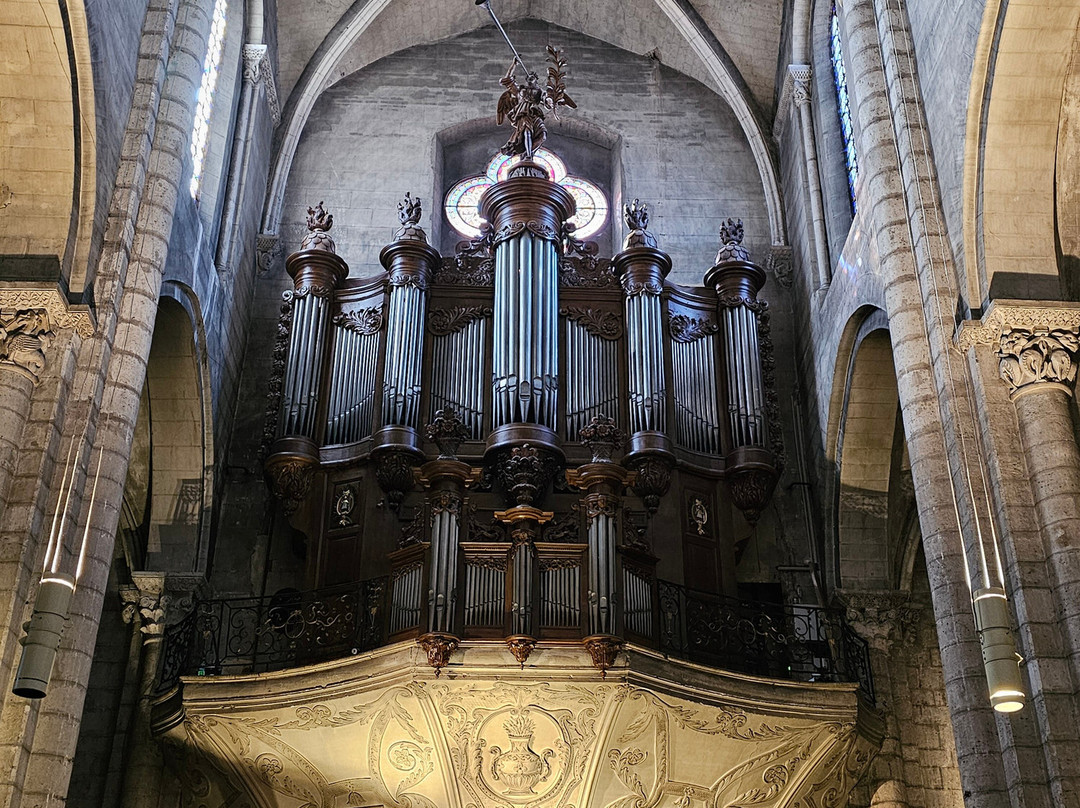 Eglise Saint Salvi-阿尔比必去景点