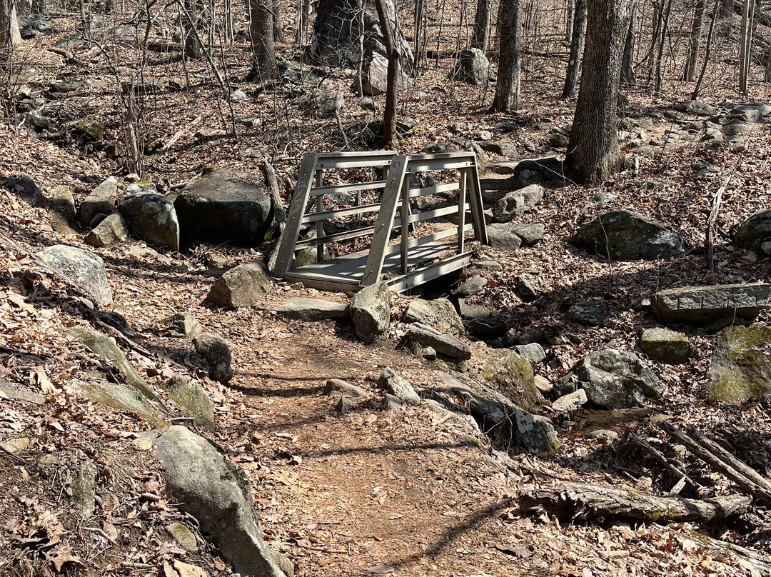 Yonah Mountain Hiking Trail-海伦必去景点