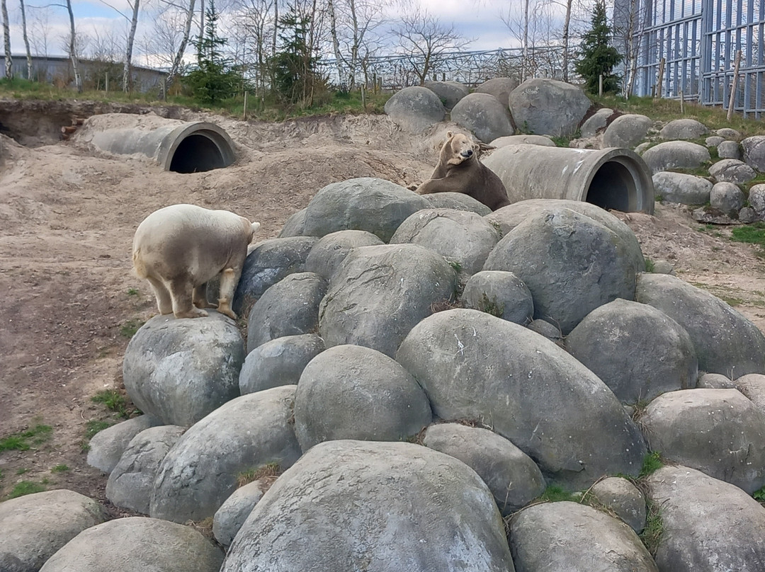 Wildlands Adventure Zoo Emmen景点图片