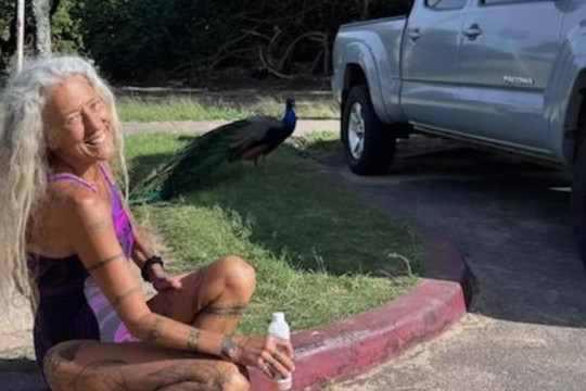 Elf's Custom Island Adventures