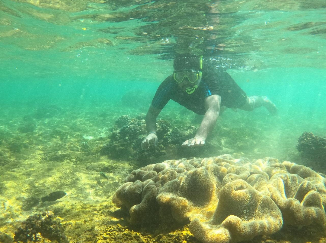 Coral Sanctuary-希克杜沃必去景点