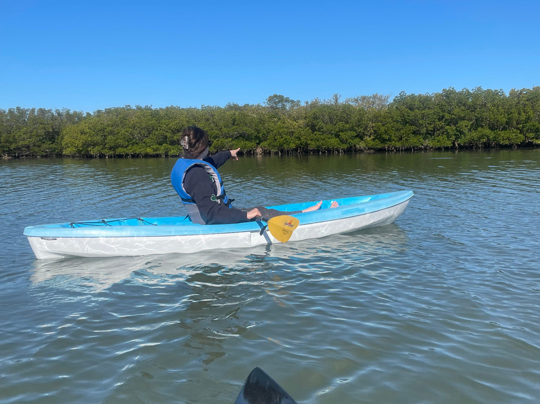 Paddle Out Adventures-克利尔沃特必去景点