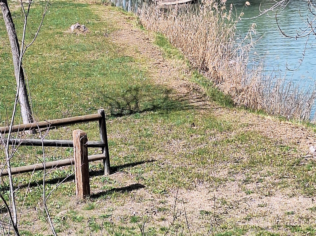 Castillo de Cofrentes-Cofrentes必去景点