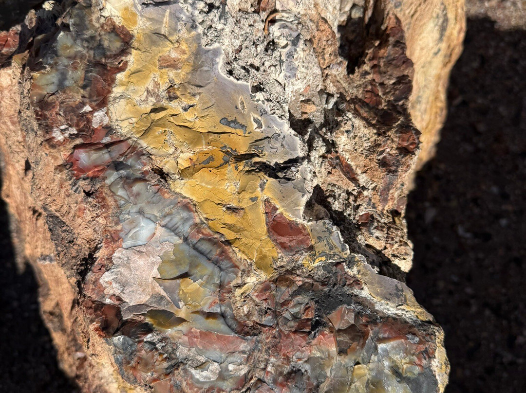 Geronimo's Trading Post-霍尔布鲁克必去景点