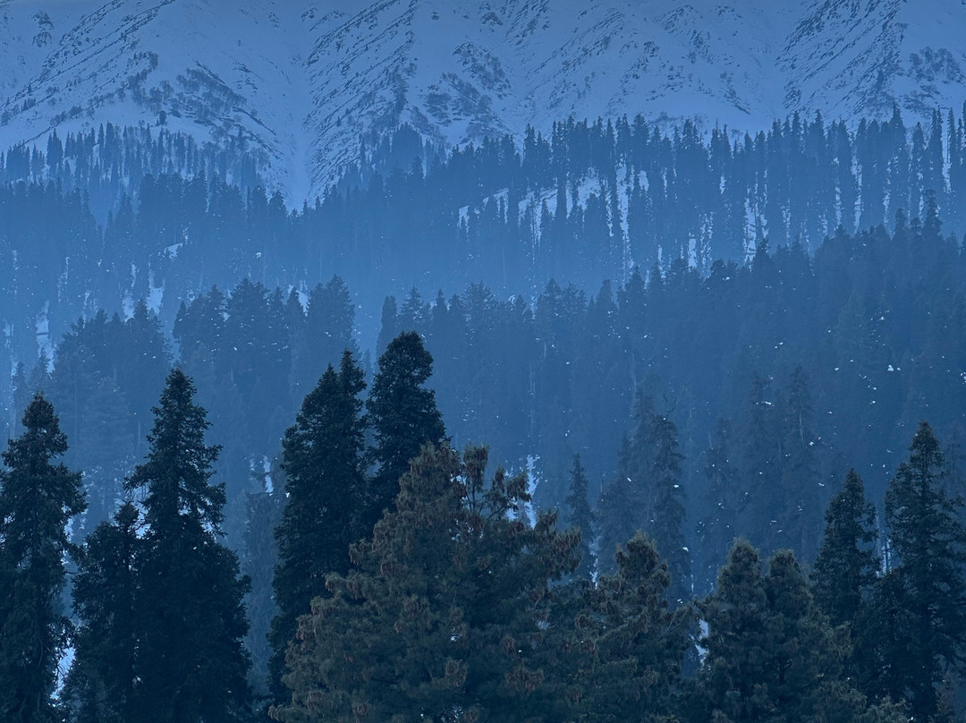 Gulmarg Riders-贡马必去景点