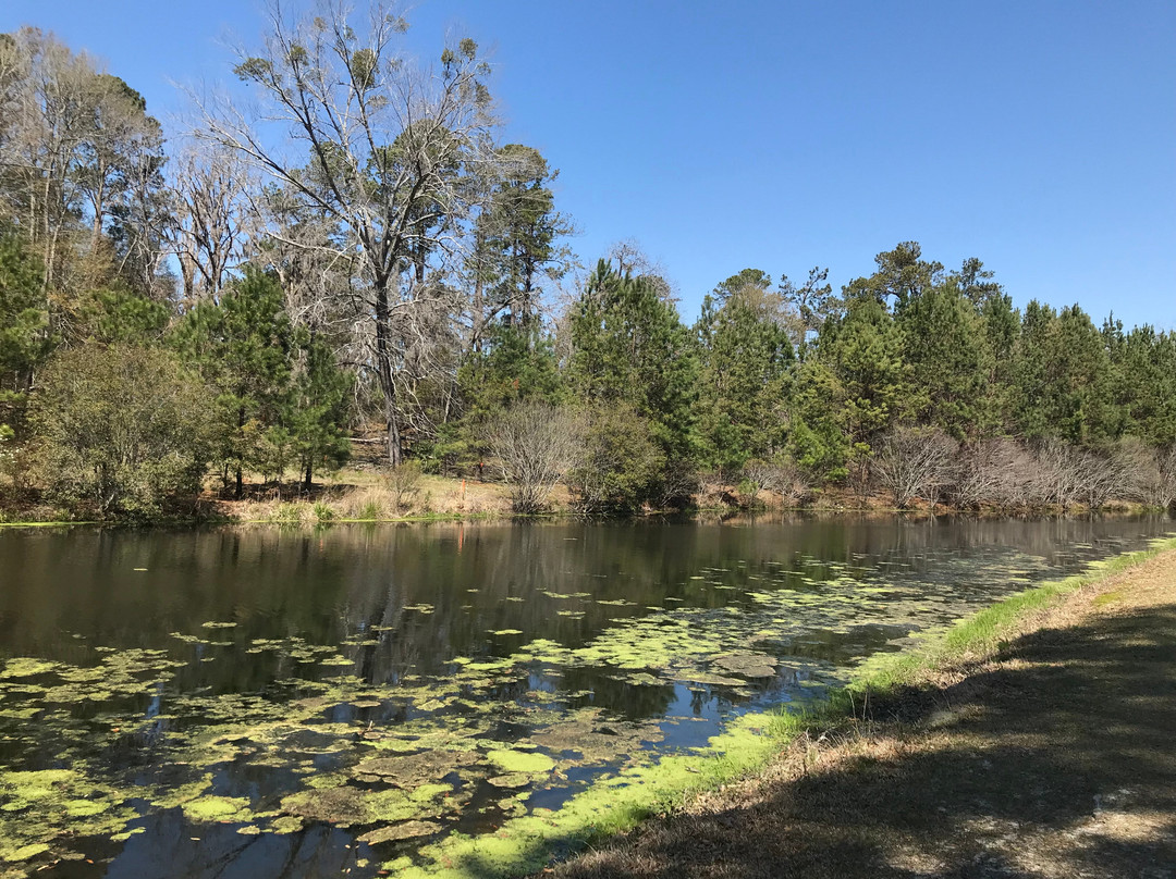 Magnolia Springs Park-Millen必去景点